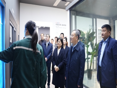 省工信廳總工程師、二級(jí)巡視員孫京軍一行 蒞臨卓越精工調(diào)研指導(dǎo)